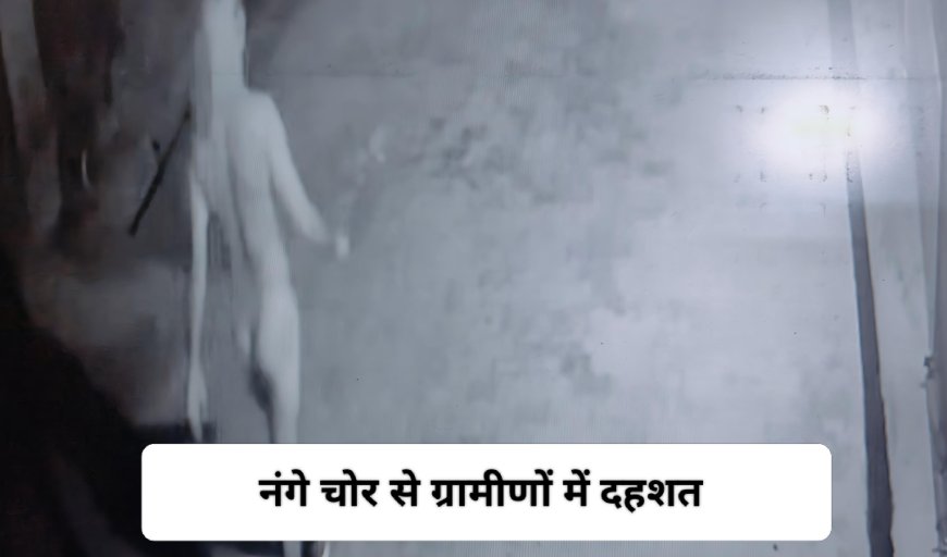हरियाणा के गांवों में 'नंगे चोरों' का आतंक: मदनहेड़ी और सलेमगढ़ में घुसपैठ, दहशत का माहौल
