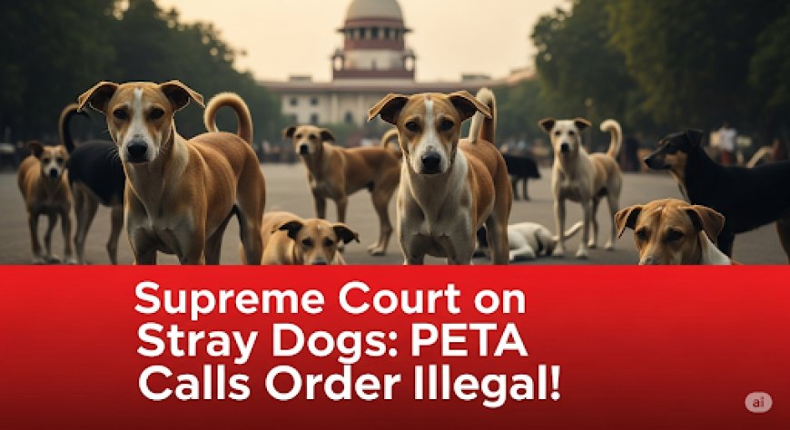 आवारा कुत्तों पर सुप्रीम कोर्ट के फैसले पर PETA का बड़ा सवाल: 'अवैध और अव्यावहारिक' बताया