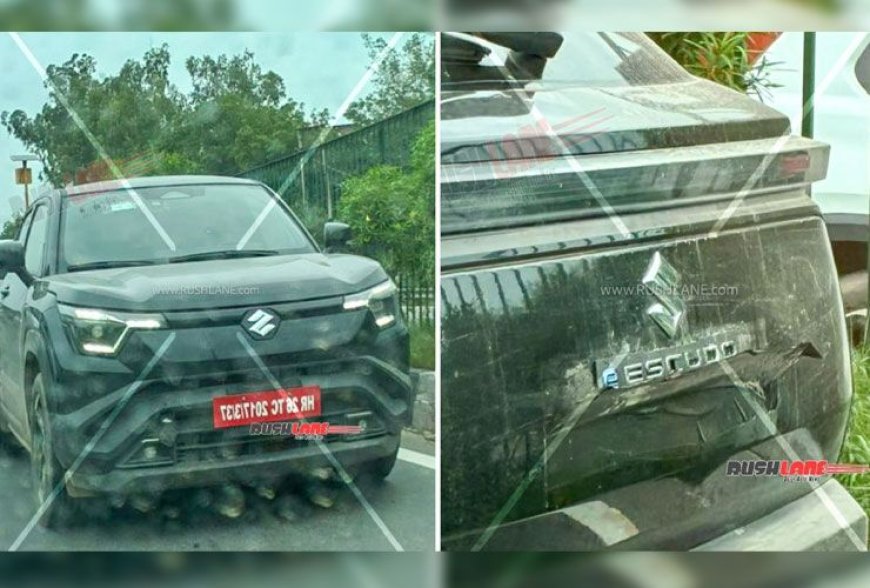 Maruti Escudo: CNG और हाइब्रिड खरीदारों के लिए सबसे बड़ी खबर! जानें लॉन्च डेट और यूनीक फीचर्स