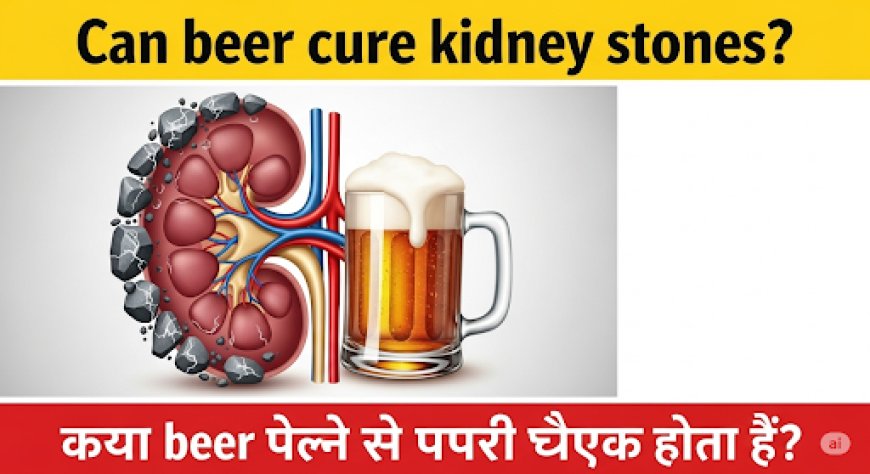 क्या बीयर पीने से पथरी ठीक होती है? Pristyn Care सर्वे ने तोड़ा भ्रम, जानिए सच्चाई