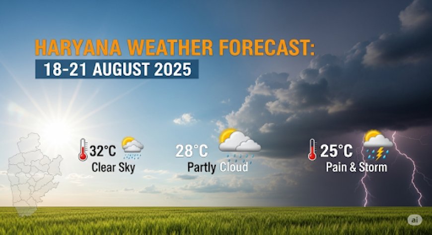 Haryana Weather:हरियाणा मौसम: अगले 4 दिन कैसा रहेगा आपके शहर का हाल?