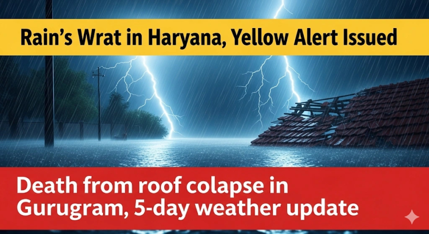 Haryana Weather Update: हरियाणा में भारी बारिश का तांडव, गुरुग्राम में छत गिरी, जानें अगले 5 दिन का हाल और अलर्ट