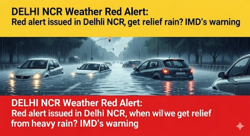 DELHI NCR Weather Red Alert: दिल्ली एनसीआर में रेड अलर्ट जारी, भारी बारिश से कब मिलेगी राहत? IMD की चेतावनी