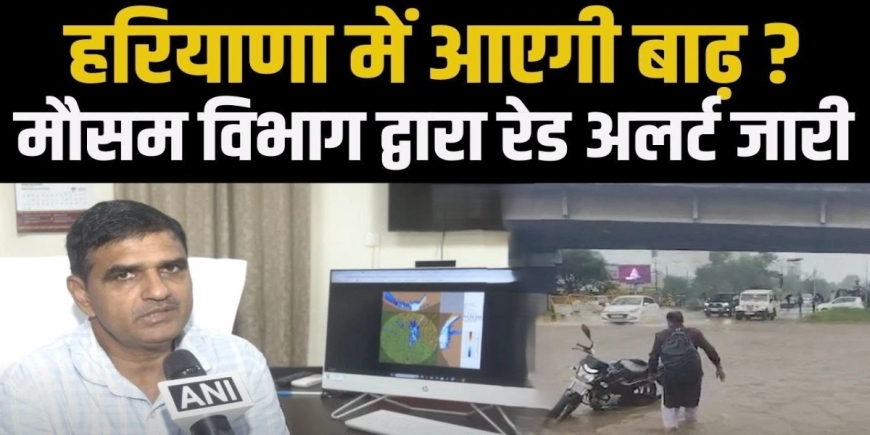 Haryana Rain Update: हरियाणा में बारिश को लेकर IMD का बड़ा अलर्ट, जानें कब मिलेगी राहत