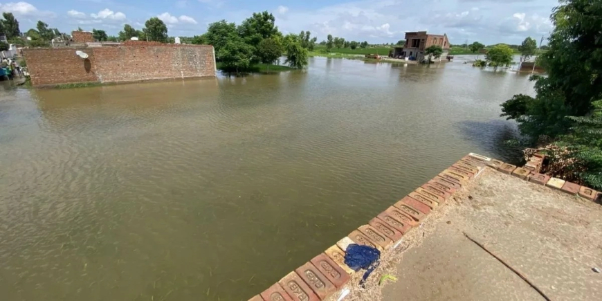 हरियाणा मौसम अलर्ट: भारी बारिश से हाहाकार, स्कूल बंद, कई जिलों में बाढ़ का खतरा