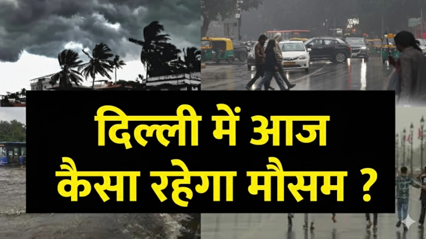 दिल्ली एनसीआर बारिश: IMD अलर्ट जारी, यमुना खतरे के निशान से ऊपर; राजस्थान, हिमाचल में भारी बारिश का कहर