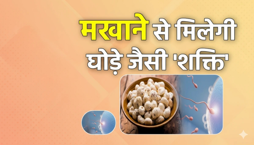 Makhana Benefits: खाली पेट रोज़ाना मखाने खाने के 5 जबरदस्त फायदे, मोटापा और हाई ब्लड प्रेशर होगा नियंत्रित